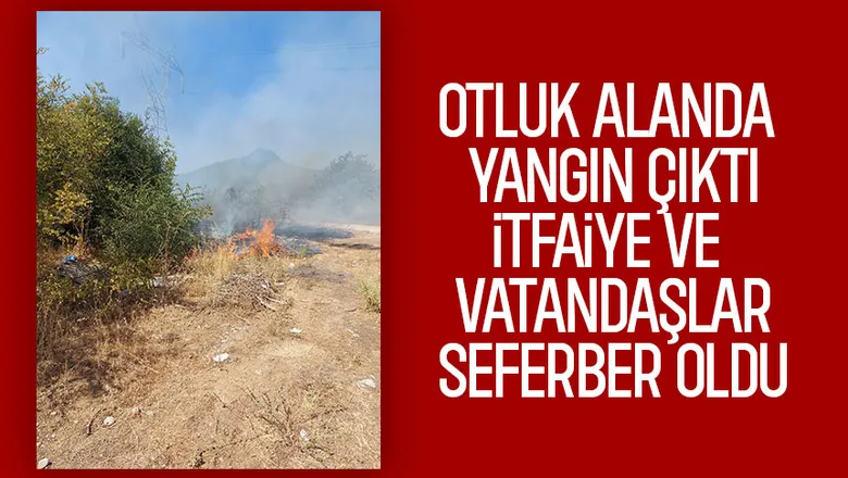 Akyazı'da otluk alanda çıkan yangın evlere ulaşmadan söndürüldü
