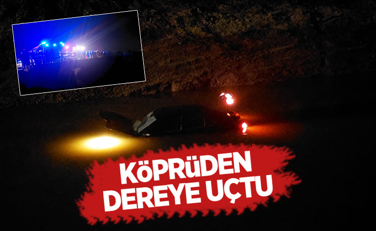 Akyazı'da otomobil dereye uçtu