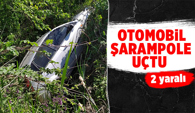 Akyazı'da otomobil şarampole uçtu