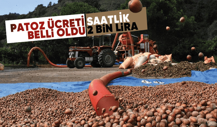 Akyazı'da patoz ücreti saatlik 2 bin lira oldu