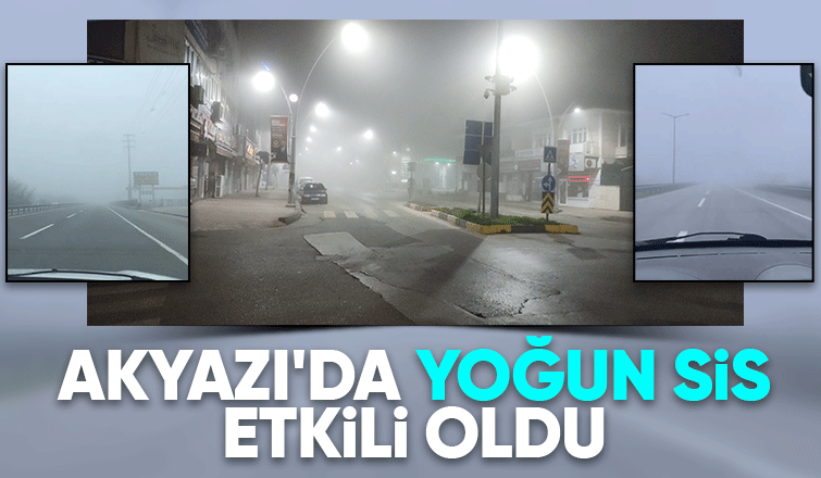 Akyazı'da sis etkili oldu