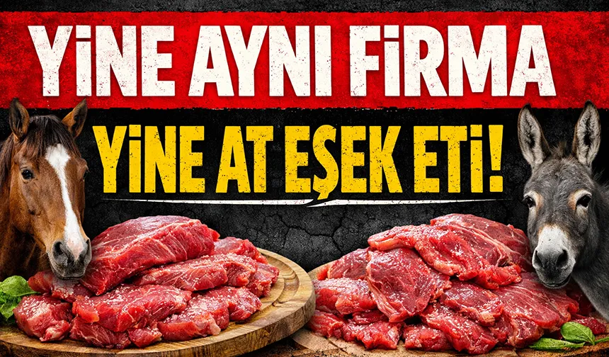 Akyazı'da üretim yapan firmanın sucuğunda yine at eşek eti çıktı
