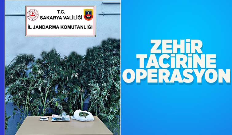 Akyazı'da uyuşturucu operasyonu