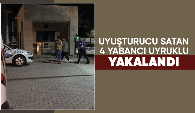 Akyazı'da uyuşturucu operasyonu