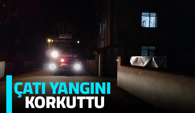 Akyazı'da yangın