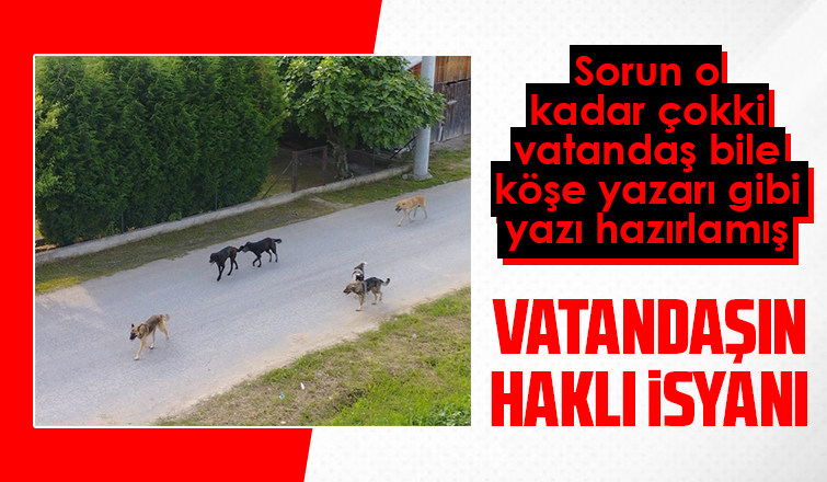 Akyazı'da yaşamaktan yoruldum diyerek isyan etti