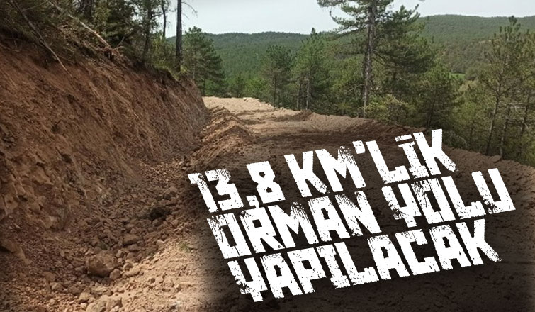 Akyazı'da yeni orman yolu yapılacak
