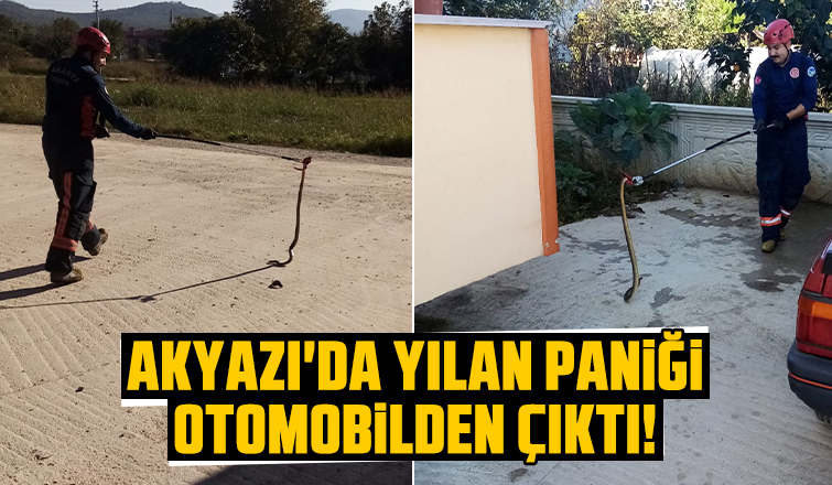 Akyazı'da yılan paniği