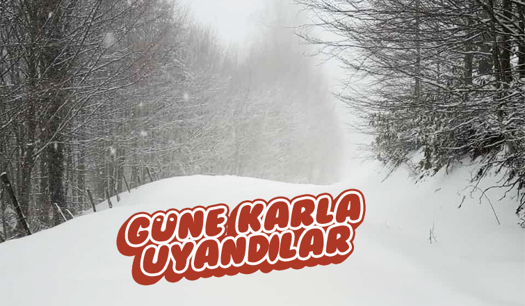 Akyazı'da yüksek kesimlerde kar etkili oluyor