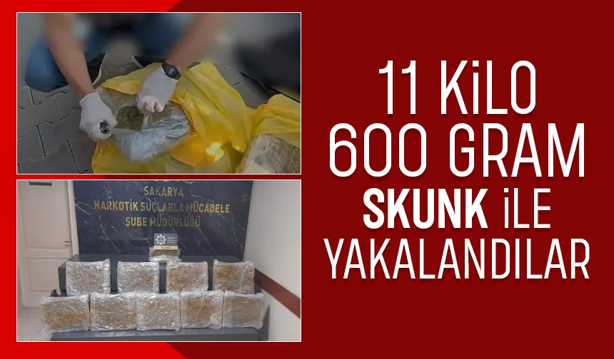 Akyazı'da zehir tacirlerine operasyon
