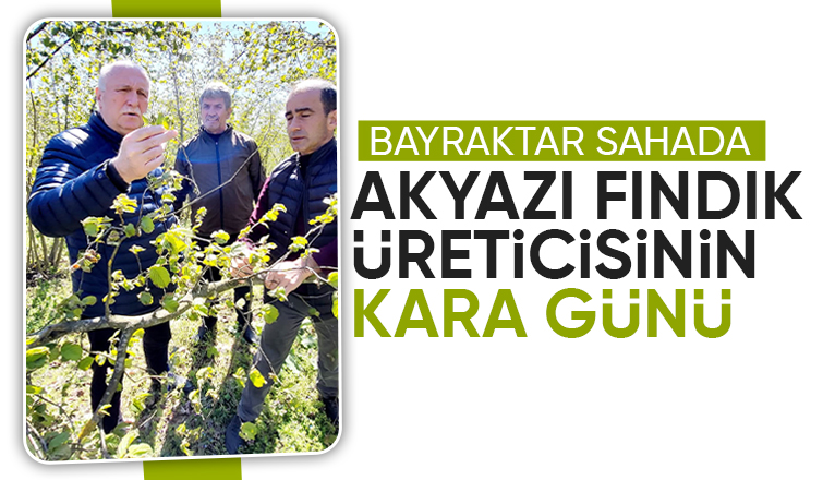 Akyazı'da zirai don hasarı tespit çalışmaları başladı