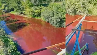 Akyazı'daki çevre felaketinde yeni gelişme; İhmali olanlar hesap verecek