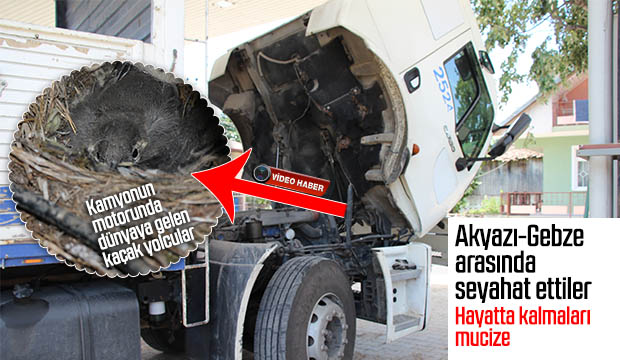 Akyazı Gebze arası Seyehat ettiler