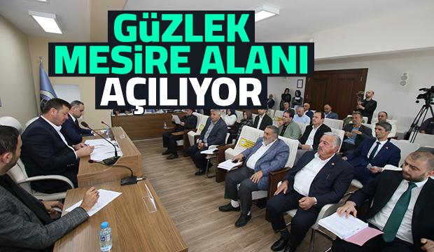 Akyazı Güzlek Mesire Alanı açılıyor