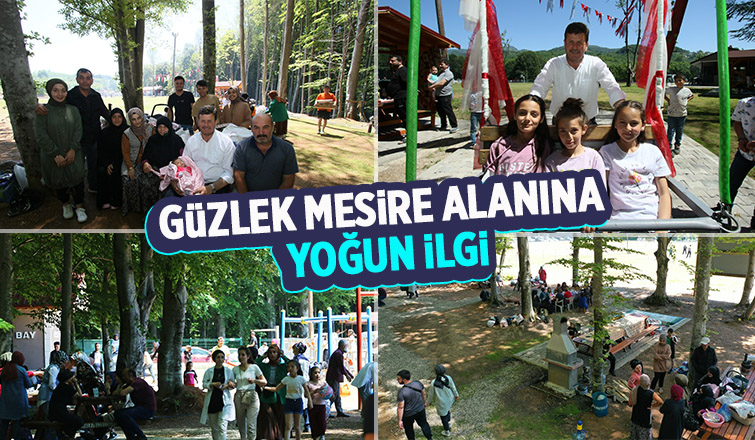 Akyazı Güzlek Mesire Alanı’na yoğun ilgi