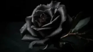 Akyazı ilçesinde bugün vefat edenler