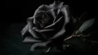 Akyazı ilçesinde bugün vefat edenler