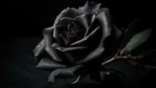 Akyazı ilçesinde bugün vefat edenler