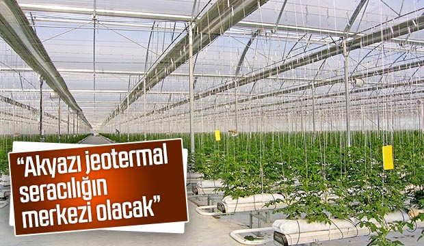 Akyazı jeotermal seracılığın merkezi olacak