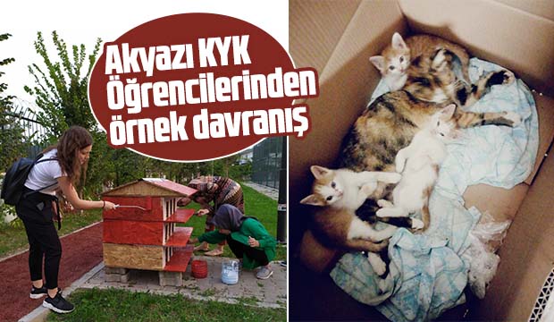 Akyazı KYK Öğrencilerinden Örnek Proje