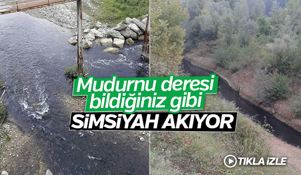  Akyazı Mudurnu Deresi Simsiyah Akıyor