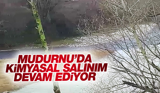 Akyazı Mudurnu Deresine Boyalı Su Salındı