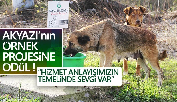 Akyazı nın Örnek Projesine Ödül 