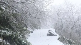 Akyazı'nın yüksek kesimleri karla kaplandı