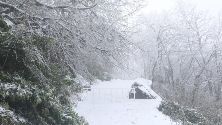 Akyazı'nın yüksek kesimleri karla kaplandı