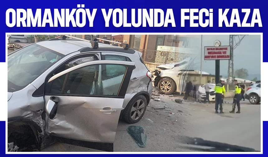 Akyazı Ormanköy yolunda feci kaza: 2 yaralı