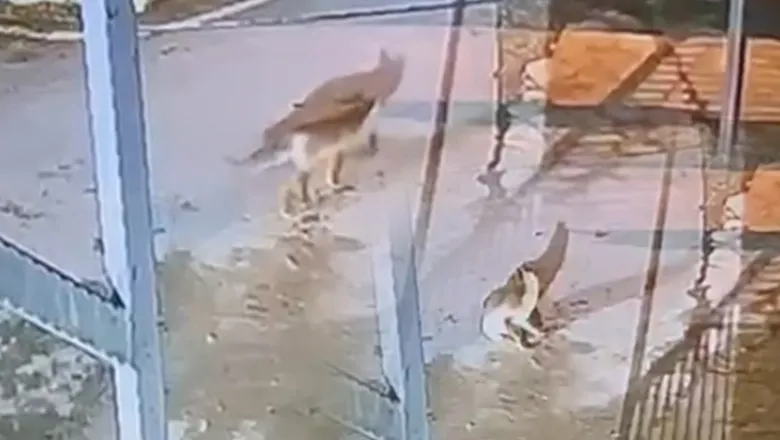 Akyazı Sağlık Bilimleri Fakültesi’nde sürpriz misafir