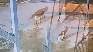 Akyazı Sağlık Bilimleri Fakültesi’nde sürpriz misafir