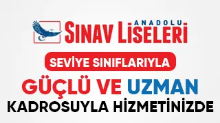 Akyazı Sınav Lisesi seviye sınıfları ve uzman kadrosuyla hizmetinizde!