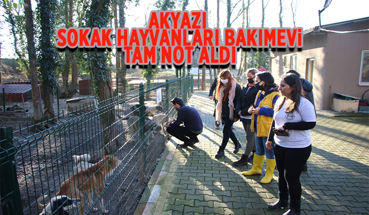 Akyazı Sokak Hayvanları Bakımevi standartların çok üzerinde