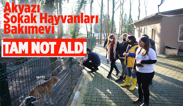 Akyazı Sokak Hayvanları Bakımevi standartların çok üzerinde