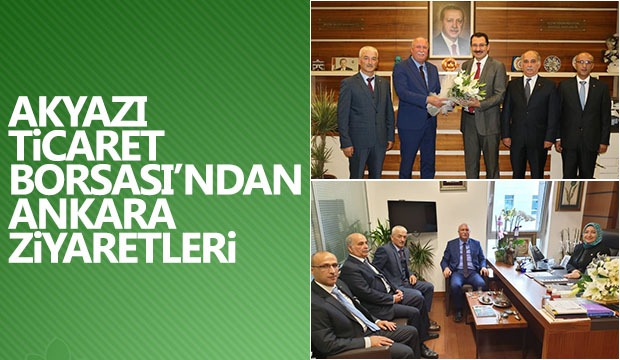 AKYAZI TİCARET BORSASINDAN ANKARA ZİYARETLERİ
