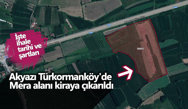Akyazı Türkormanköy'de  Mera alanı kiraya çıkarıldı