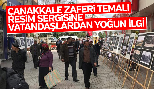 Akyazı Ülkü Ocaklarından 18 Mart Etkinlikleri