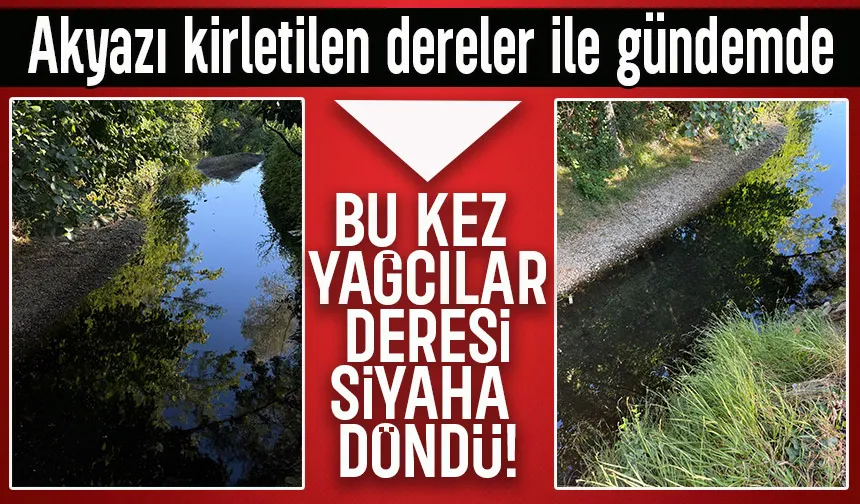 Akyazı Yağcılar Deresi kirlilikten siyaha döndü