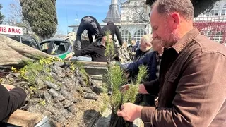 Akyazı’da 3 bin fidan ücretsiz dağıtıldı