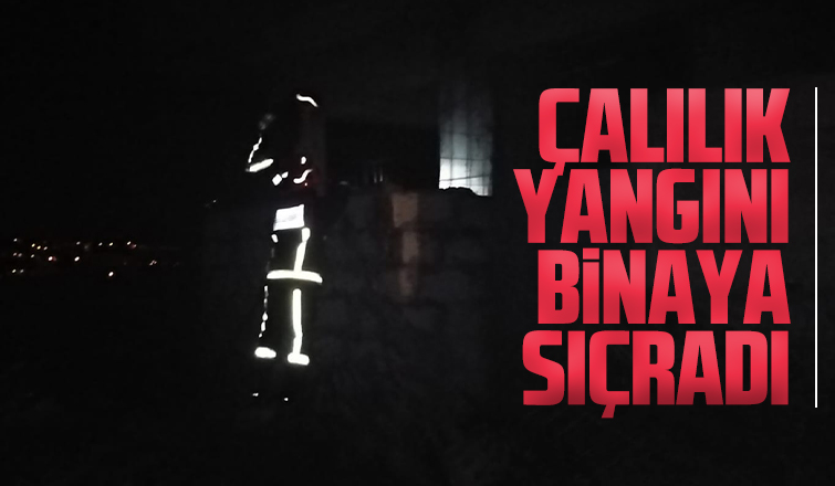 Akyazıda çalılık yangını binaya sıçradı