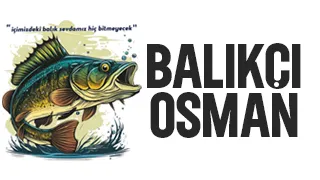 Akyazı’da Çiğ veya Pişmiş Günlük Taze Balık Keyfi Balıkçı Osman'da