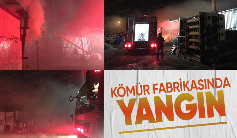 Akyazıda mangal kömürü üretim tesisinde yangın çıktı