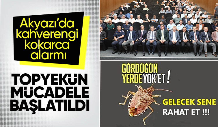 Akyazı’da kahverengi kokarca için harekete geçildi