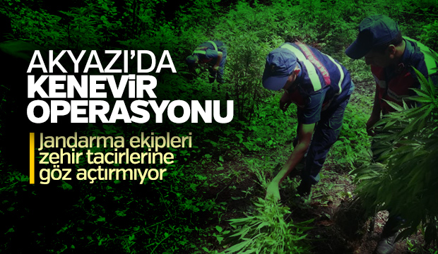 Akyazı'da Kenevir Operasyonu