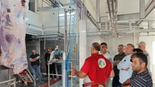 Akyazı’da Kurban Kesim Elemanı kursu açılıyor; Detaylar açıklandı
