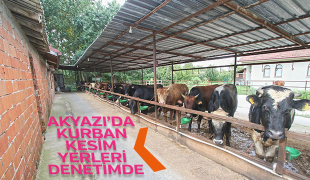 AKYAZIDA KURBAN KESİM YERLERİ DENETİMDE
