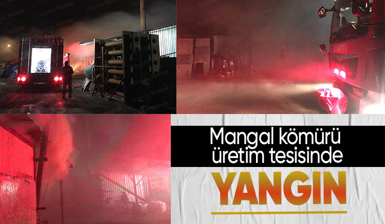 Akyazıda mangal kömürü üretim tesisinde yangın çıktı