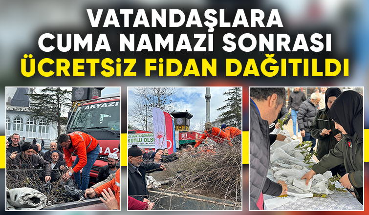 Akyazıda orman haftasında ücretsiz fidan dağıtıldı