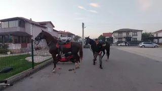 Akyazı’da renkli görüntüler